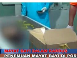 Penemuan Mayat Bayi Didalam Kardus Di Kecamatan Porsea Dalam Penyelidikan Polres Toba