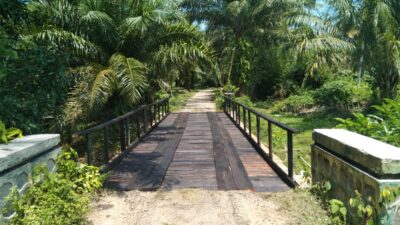 Pembangunan Titian Kayu Desa Talang Marap Sangat Diapresiasi Oleh Warga