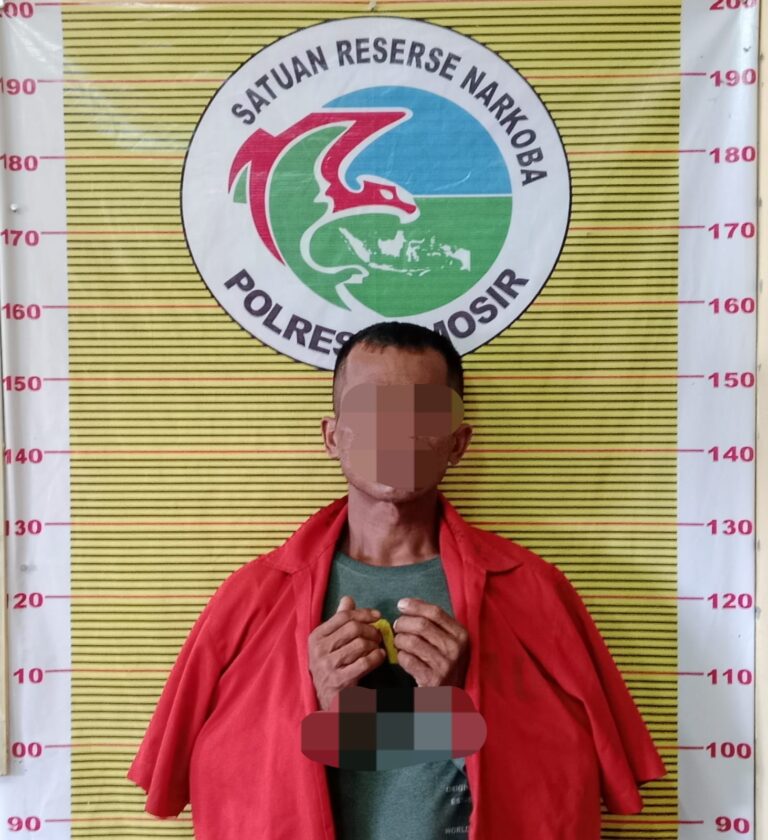 Polres Samosir Tangkap Bandar Narkotika Jenis Sabu di Kecamatan Palipi kabupaten Samosir