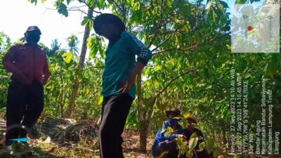 Liput Perambahan Hutan Oknum Kades Intimidasi Wartawan