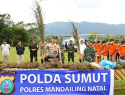 150 Hektar Ladang Ganja Diamankan Oleh Polda Sumut Gunakan Teknologi Citra Satelit