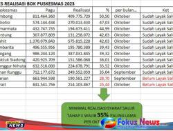 Penyerapan Anggaran DAK NF 2023 Puskesmas Harian  Diduga Gagal