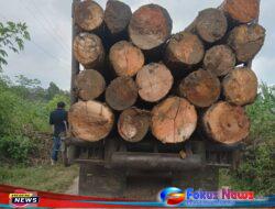 Jalan Aspal Sigotom Laguboti Makin Rusak Parah Diduga Dilalui Alat Berat Proses Pengambilan Kayu Alam Di Perbatasan Pahae