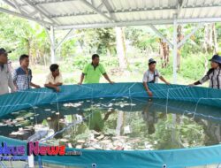 Dinas Ketahanan Pangan Dan Pertanian Samosir Kembangkan Budidaya Ikan Sistim Bioflok 