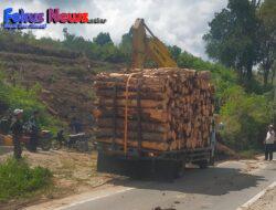 Oknum Wartawan Diduga Bermain Kayu Pinus di Pollung, Truk Dimuat Overtonase, Dishub Bungkam