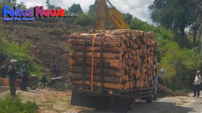 Oknum Wartawan Diduga Bermain Kayu Pinus di Pollung, Truk Dimuat Overtonase, Dishub Bungkam