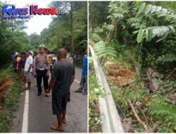 Bus Penumpang Umum Terjun Kejurang 2 Meninggal 11 Luka – Luka