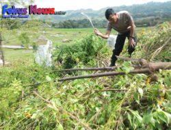 Polsek Palipi Ikuti Kegiatan Gotong Royong Persiapkan Masyarakat Kelompok Sadar Wisata