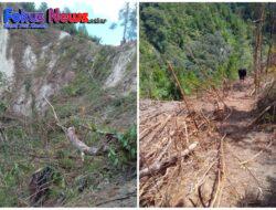 Penebangan Pohon Di Desa Pohan Julu Makin Meresahkan Masyarakat