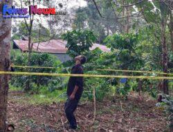 Warga Kecamatan Garoga Gantung Diri Di Pohon Karet, Polisi Lakukan Penyelidikan