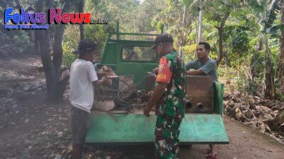 Antisipasi (Tanggap Bencana) Babinsa Jajaran Kodim 1621/TTS Sertu Nahason Bantu petugas PLN Perbaiki Kabel Listrik