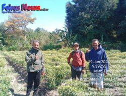 Kades Fafinesu Memberi Dukungan Kepada Inisiatif Masyarakat yang Mengembangkan Potensi Lahan Kering Menjadi Sumber Mata Pencaharian