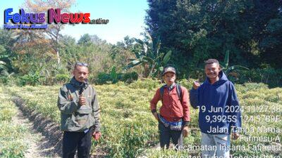 Kades Fafinesu Memberi Dukungan Kepada Inisiatif Masyarakat yang Mengembangkan Potensi Lahan Kering Menjadi Sumber Mata Pencaharian