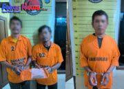 Polres Taput Tangkap 2 Orang Konsumsi Ganja Dan 1 Orang Prekusor