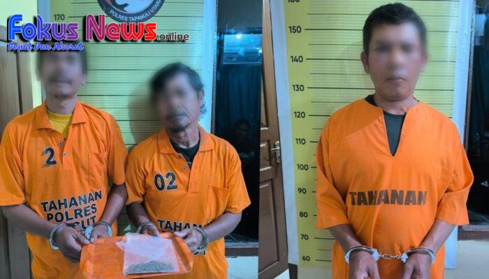 Polres Taput Tangkap 2 Orang Konsumsi Ganja Dan 1 Orang Prekusor