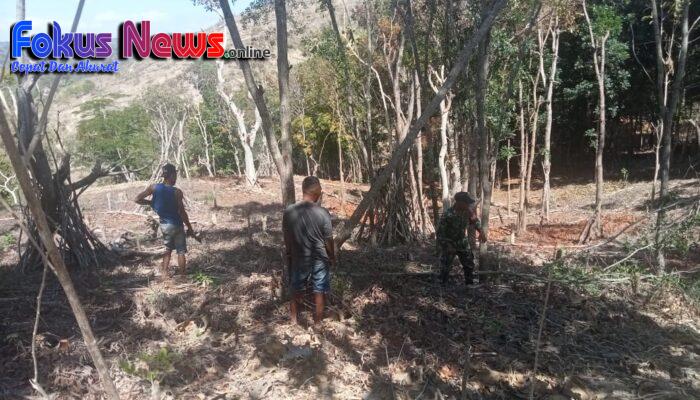 Budayakan Hidup Gotong Royong, Babinsa Koramil 01 Kota So’e Bantu Warga Bersihkan Kebun