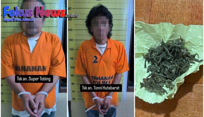 2 Pengguna Narkoba Dan 1 Orang Pengedar Berhasil Dibekuk Polres Taput