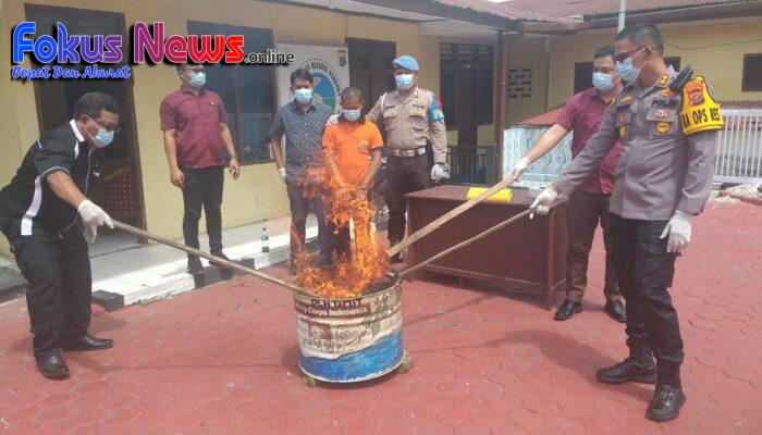 Polres Taput Musnahkan Barang Bukti Narkoba Jenis Ganja Seberat 2 Kg