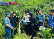 Petugas Ukur Perempuan di Daerah Terluar Indonesia: Hadir di Garis Depan dengan Pendekatan yang Inklusif