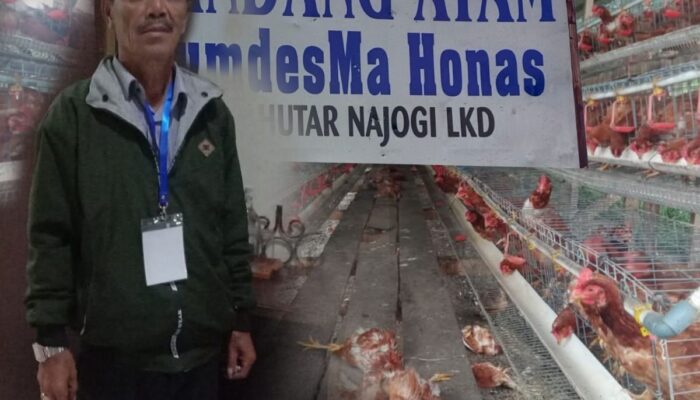 Bumdesma Ayam Petelur Tinggal Nama Dan Kandang, Anggiat Pardede : Harus Diusut Tuntas, Polres Taput Dan Kejari Taput Harus Segera Lakukan Penyelidikan, Itu Uang Rakyat..!