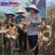 Dukung Ketahanan Pangan Bersama Petani Polres Bitung Panen Jagung
