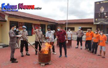 Polres Taput Musnahkan Narkoba Jenis Ganja Barang Bukti Hasil Tangkapan