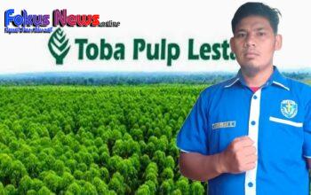 Dibalik Konsesi: Menimbang Ulang Kehadiran PT. TPL di Kecamatan Sipahutar