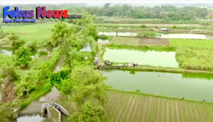 Mengenal Desa Rejoagung, Potensi Desa Meningkat Setelah Program Penataan Akses Reforma Agraria
