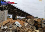 Pengguna Jalan Resah Dengan Kegiatan Pengolahan Kayu Di Jalan Tarutung – Sipahutar, Warga Desak APH Untuk Bertindak