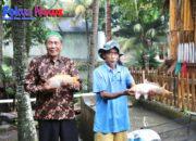 Tingkatkan Perekonomian Masyarakat, Kampung Reforma Agraria Desa Bandung Kembangkan Pembibitan dan Budidaya Ikan