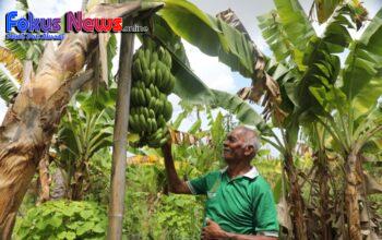 Reforma Agraria Ubah Pola Pikir Warga Desa Baumata di Kabupaten Kupang, Hasilkan Peningkatan Penghasilan Petani