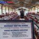 Ternak Ayam Petelur BUMDes MARSADA GONTING GAROGA Bukti Kecamatan Garoga Berpotensi