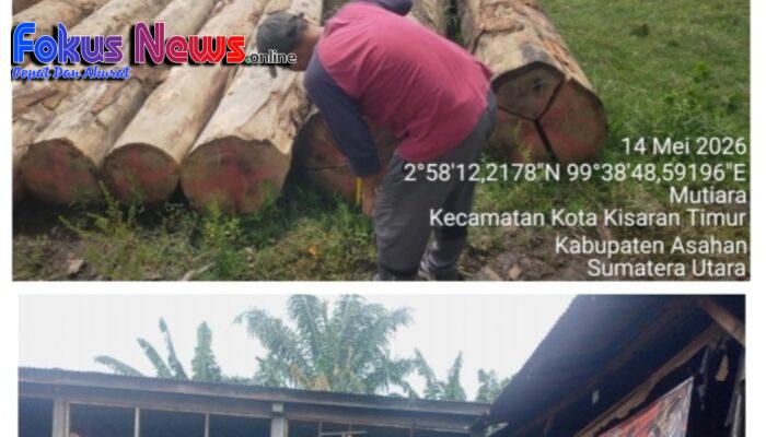 Apresiasi Luar Biasa ! Keberanian Gakkum Sumatera Sikat Mafia Ilegal Logging Labura dari Hulu hingga Hilir Tuai Pujian Masyarakat.